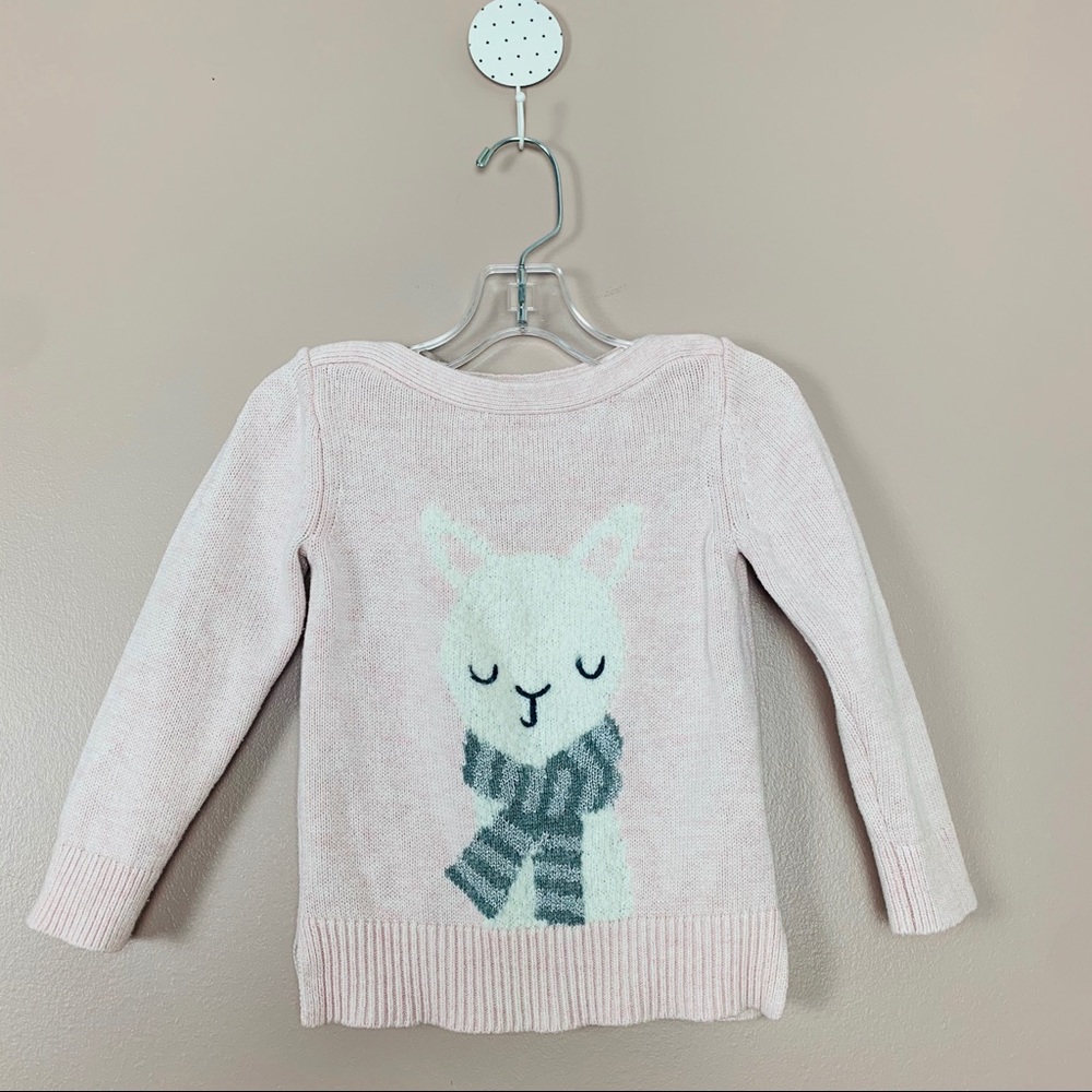 Gap sweater